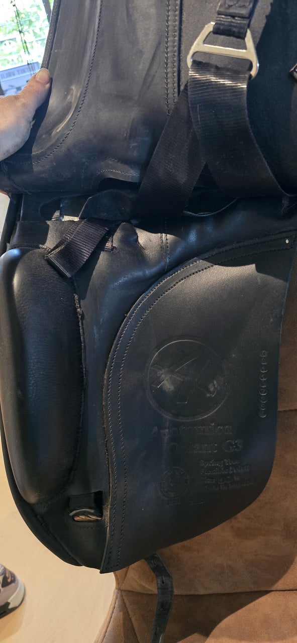 Anatomica Octant G3 treeclix