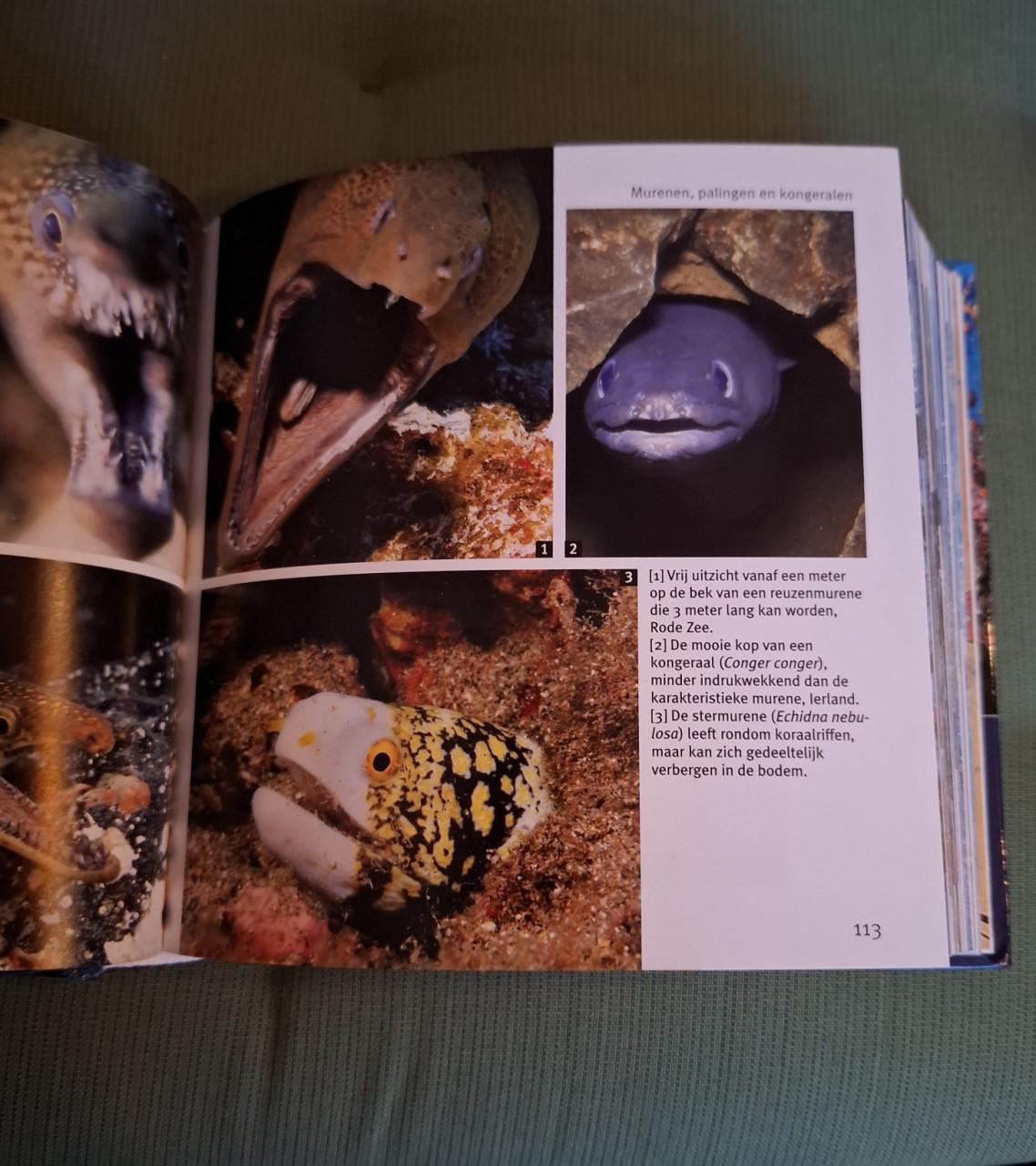 Vissen en walvissen, 1001, foto's, red. Pascal Deynat, blokboek