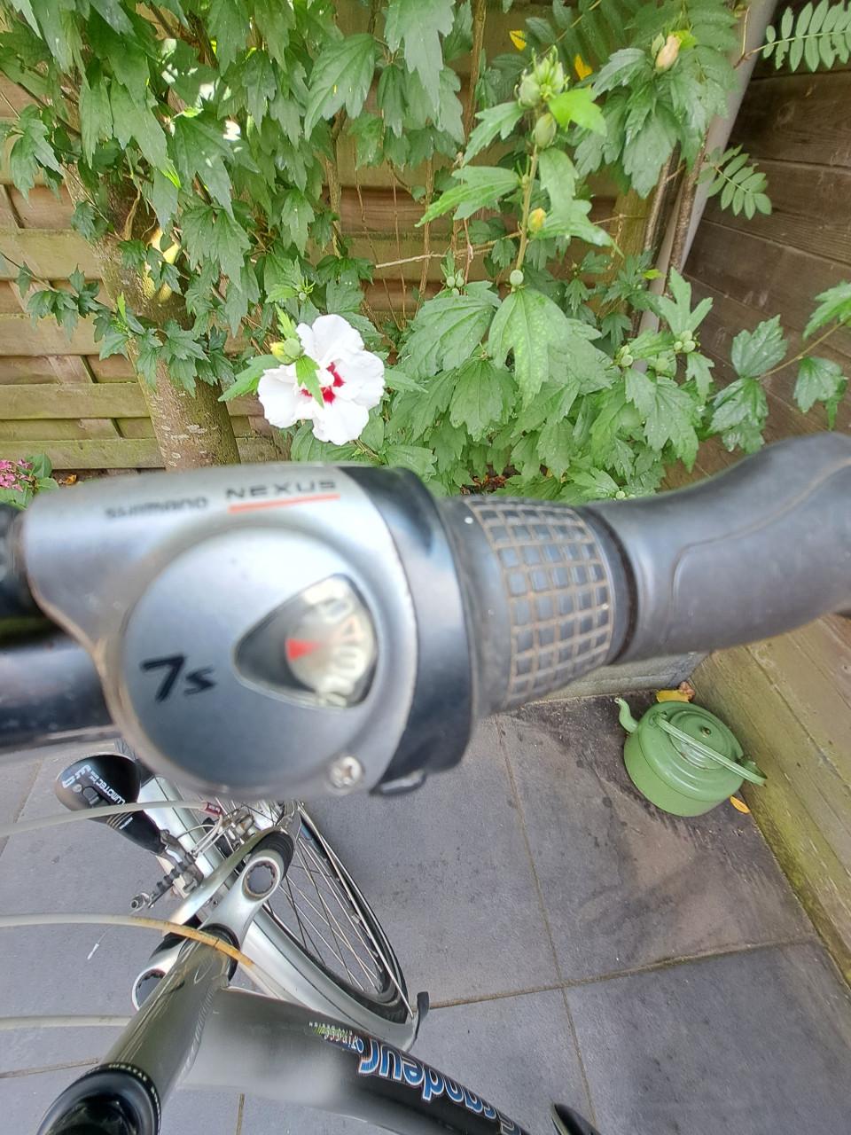 Dames fiets