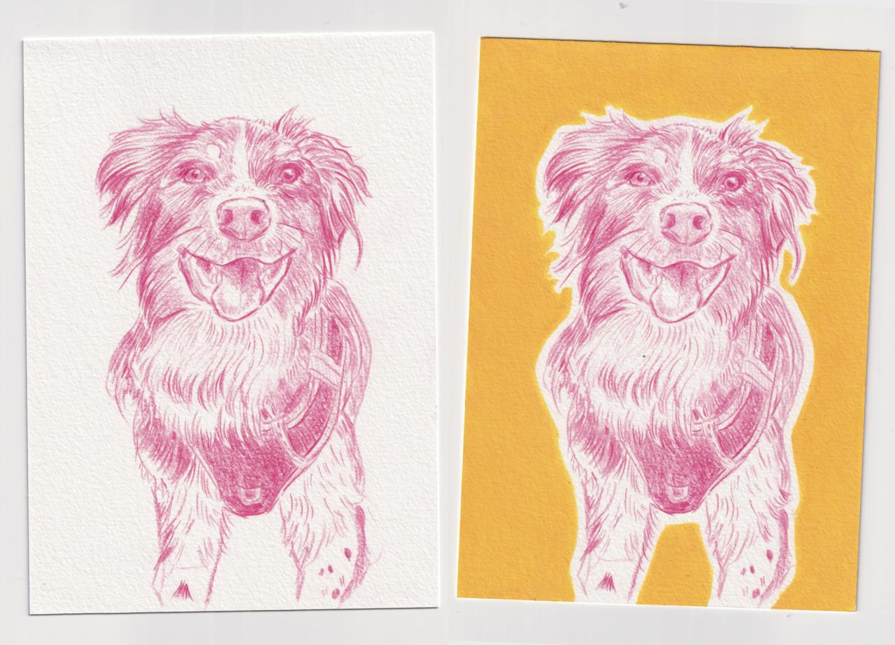 Huisdierportretten | op maat gemaakt portret voor hond, kat, of knaagdier
