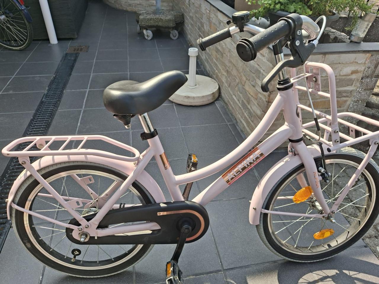 Meisjesfiets Alpina Cargo Roze 18 Inch.
