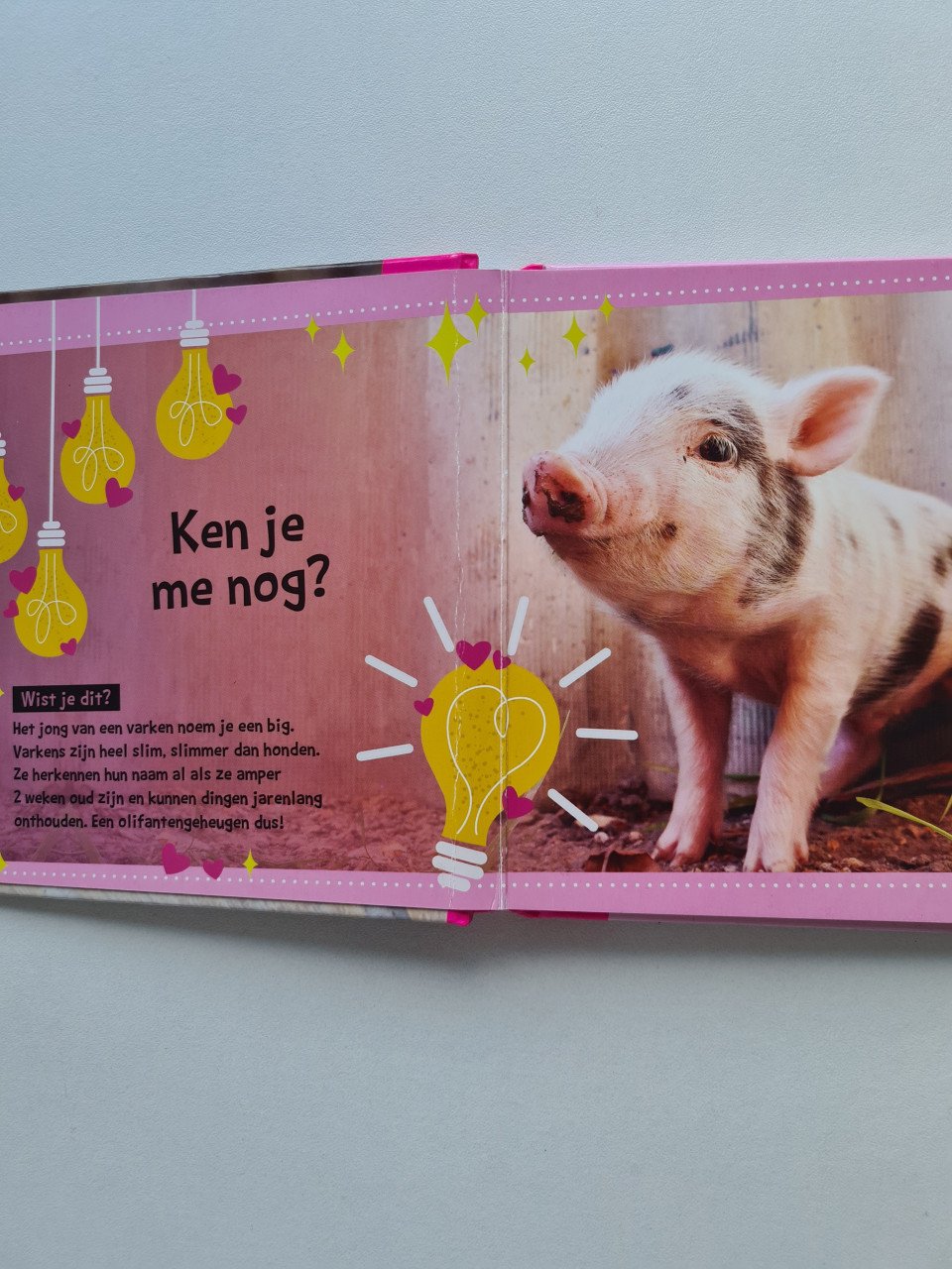 4 boekjes met dieren weetjes  samen €2,50
