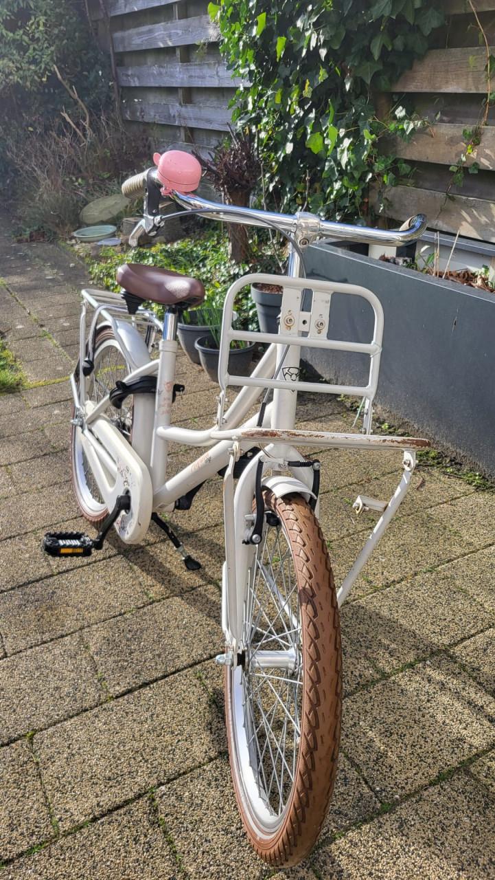 Meisjesfiets Alpina 20 inch met terugtrap rem en handrem voor