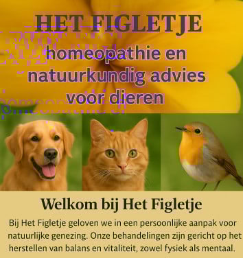 Homeopathie voor dieren met klachten, stress, gedragsproblemen