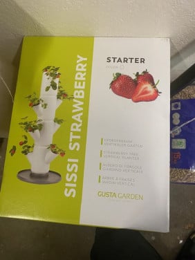Aardbeien  zuil nieuw in de doos