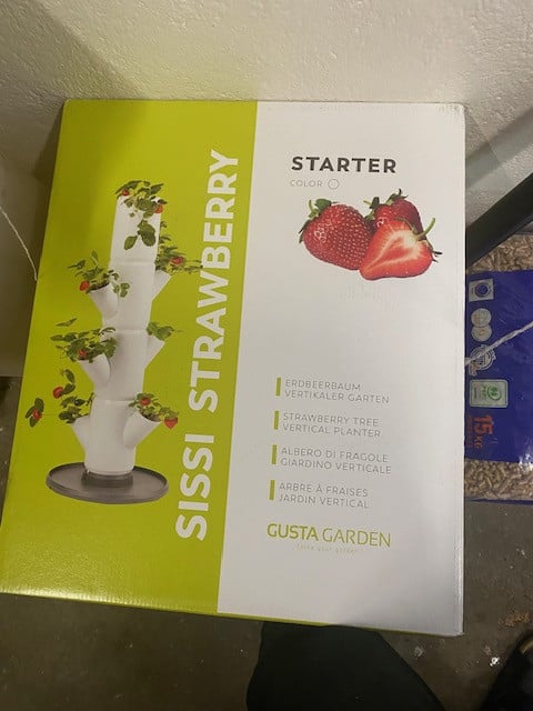 Aardbeien  zuil nieuw in de doos