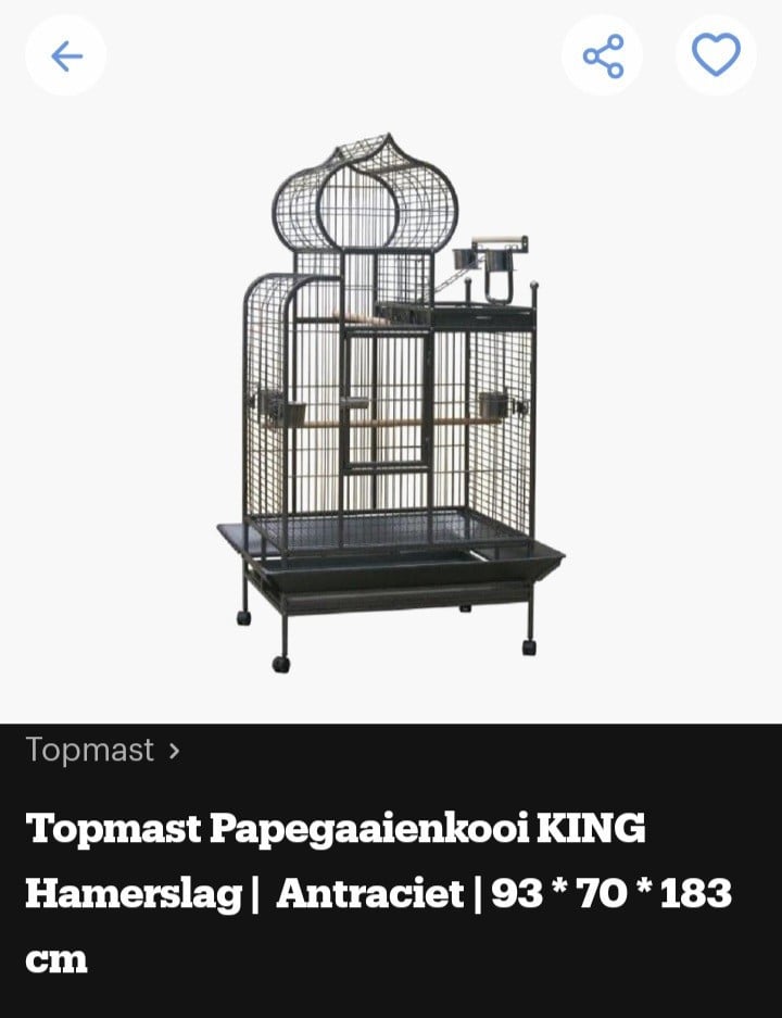 Grote papagaaien kooi