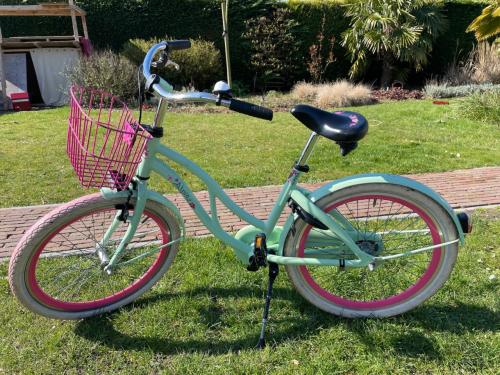 Nette Alpina kinderfiets 22 inch