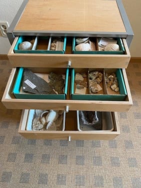Te koop: ladekastje met verzameling schelpen/mineralen.