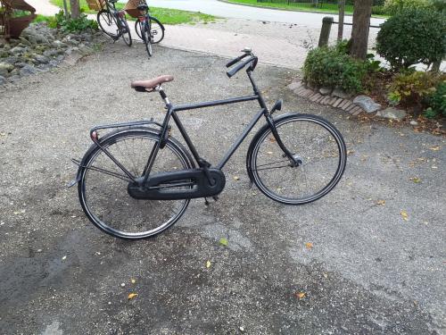 """"GAZELLE BASIC HERENFIETS VOOR IN DE STAD OF STUDENT""""