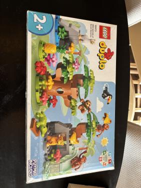 Duplo 10973