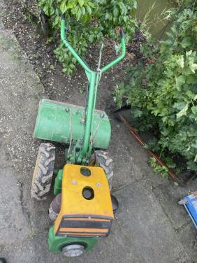 Tuin frees Goldoni 610 D  met 70cm feesbak
