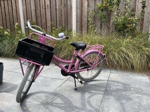 Alpina Cargo meisjesfiets 20 inch
