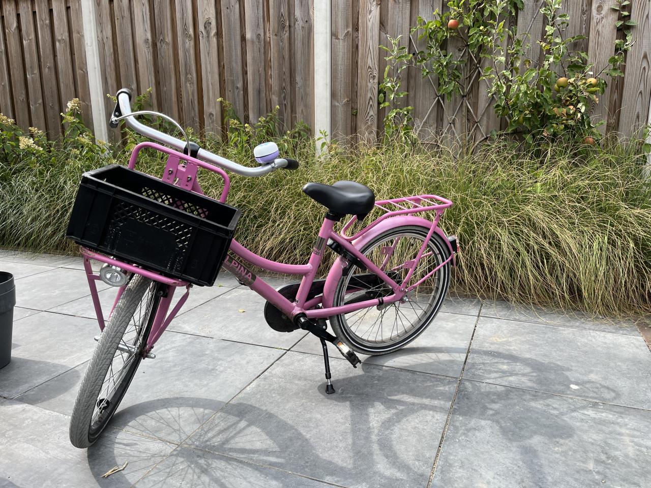 Alpina Cargo meisjesfiets 20 inch