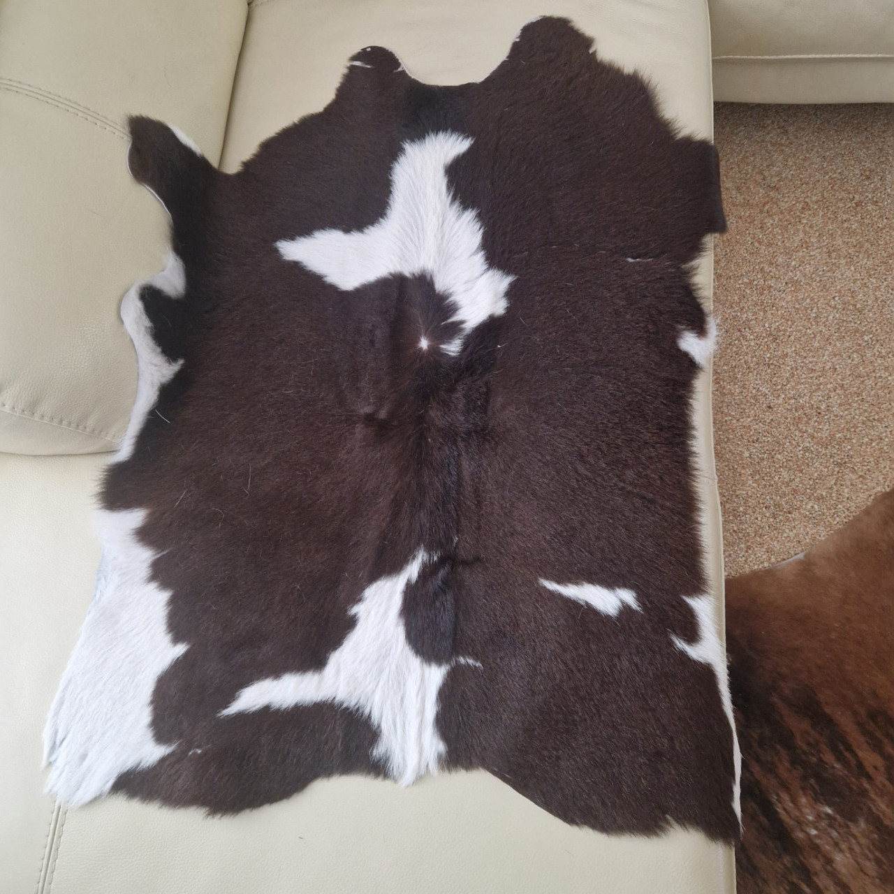 2 kalfshuiden voor decoratie