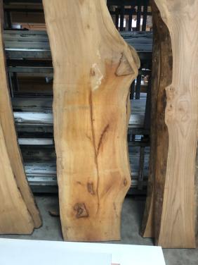 Breed  zeeuws plataan boomstamblad  210 x 60 x 5 voor 25 euro koffie gratis