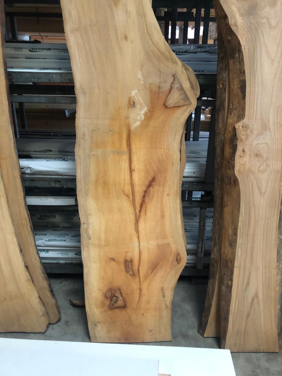 Breed  zeeuws plataan boomstamblad  210 x 60 x 5 voor 25 euro koffie gratis