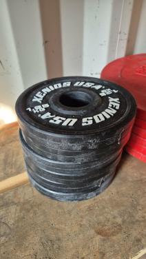 Schijven 2,5 kg en 1,25 kg