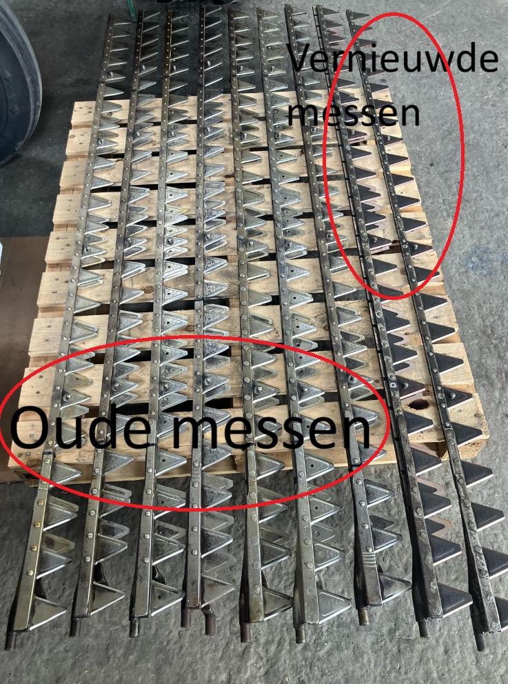 Messenset Busatis revisie