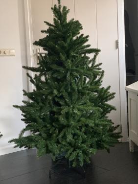 Kerstboom Triumph tree 1.55 hoog