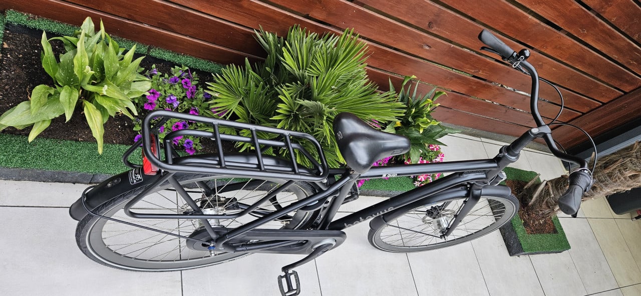 Batavus Quip X Cargo  herenfiets