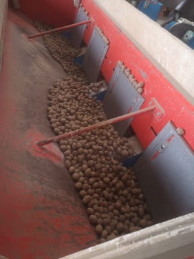 Pootaardappelen 125kg Fontane 28/35