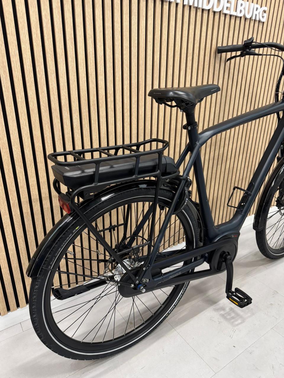 Pegasus Siena E7F Plus Bosch Active Line Plus 400Wh 65CM 1491KM