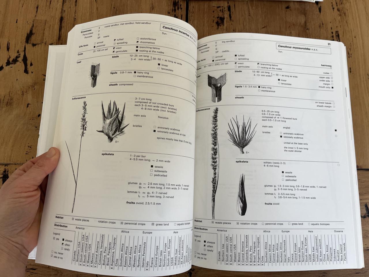 3 naslagwerken over onkruiden