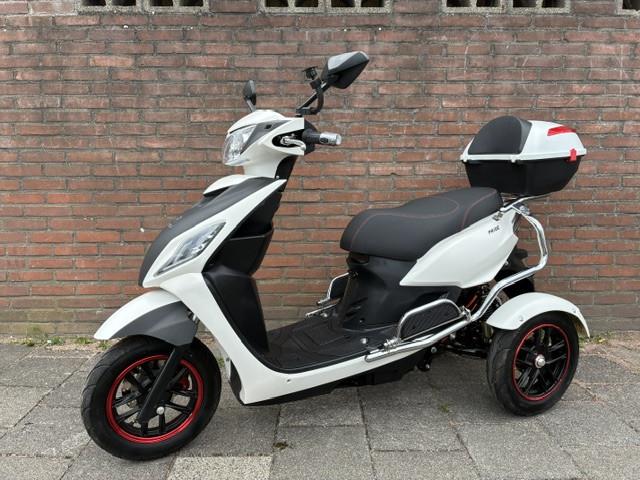 GEEN RIJBEWIJS ? NIET NODIG MET DEZE STOERE NIPPONIA PRIDE !