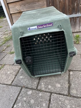 Vliegtuigkennel hond