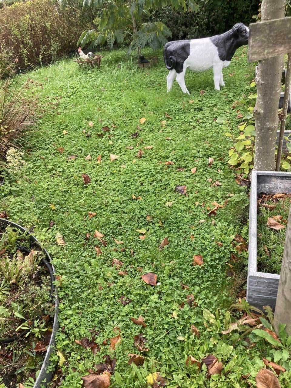 Hulp voor tuin gevraagd