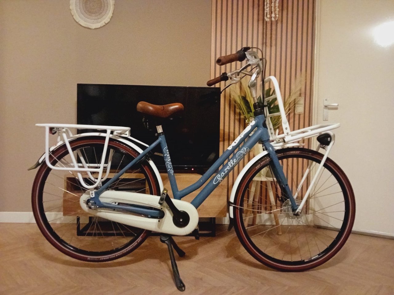 Super mooie Gazelle miss Grace