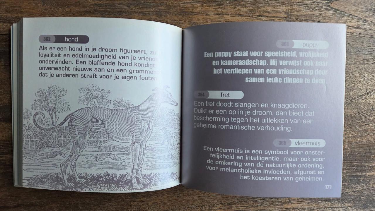 ⭐️1000 Dromen Almanak.