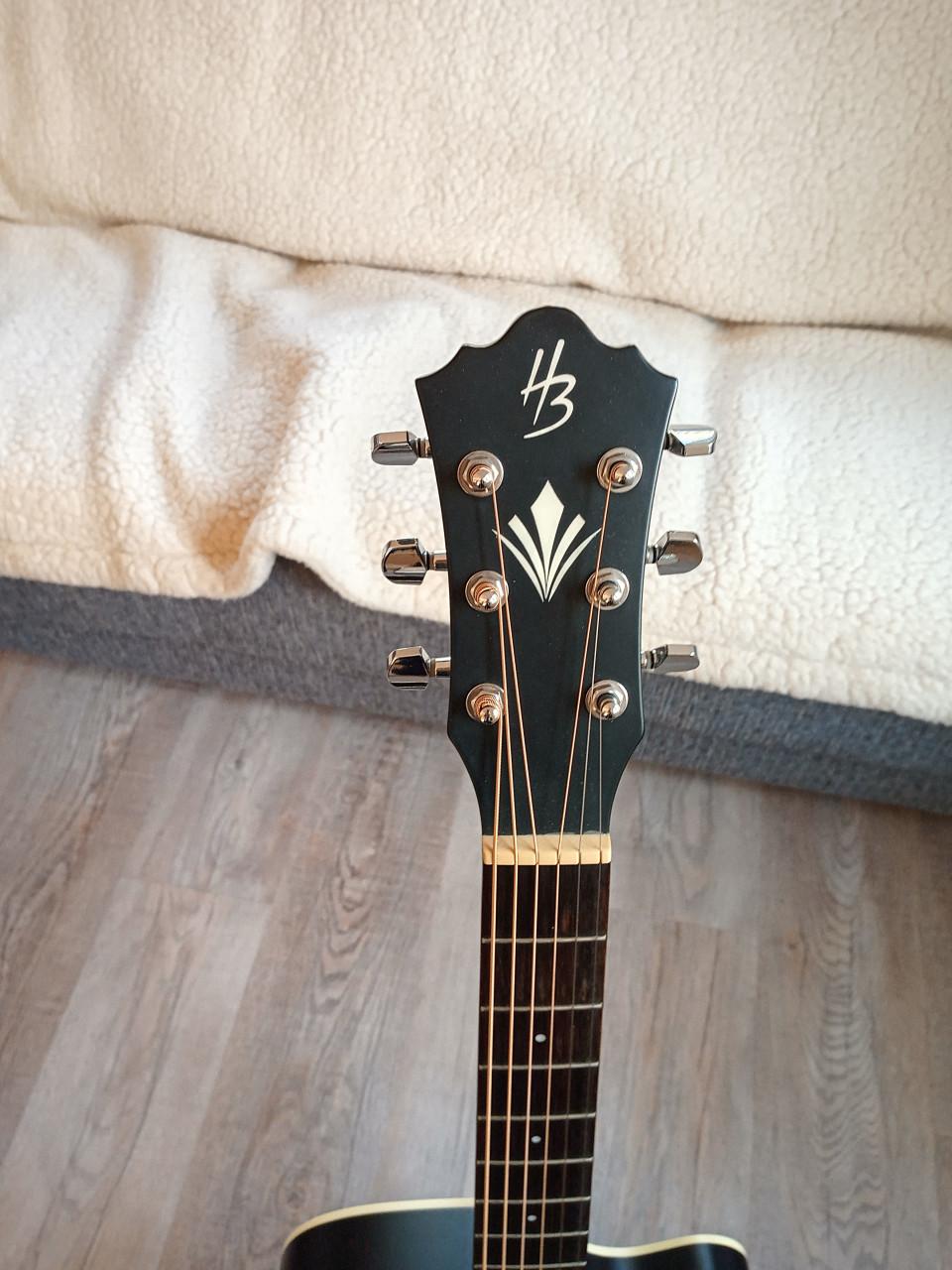 Western gitaar met koffer