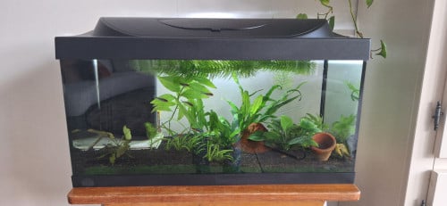 Tetra Aquarium