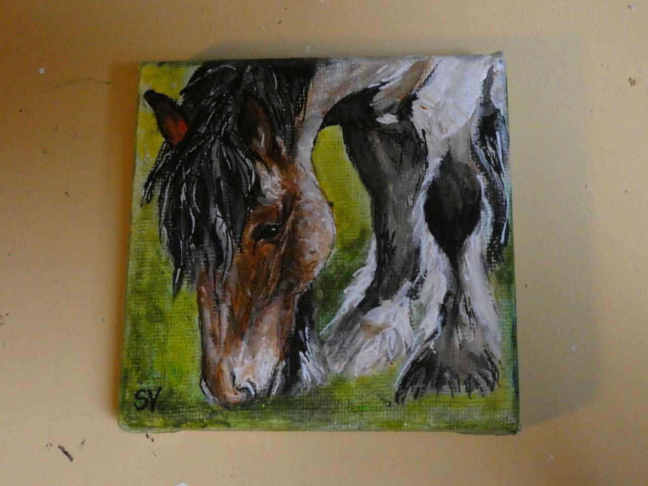 Aanbieding februari - schilderij van je paard of pony vanaf € 50,00