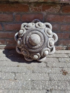 Zeeuwse knop