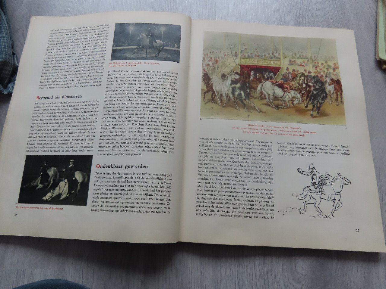 Plaatjes boek bonte droom van het circus