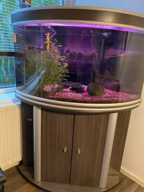 Hoek aquarium Aqualantis