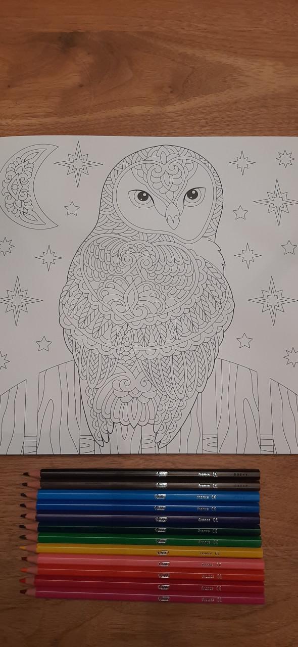 Kleurboek voor volwassenen