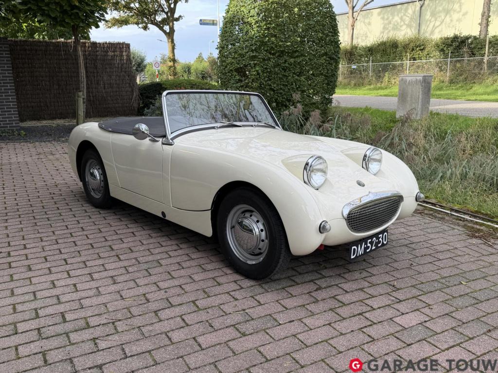 Austin Healey Onbekend sprite mk1 frogeye