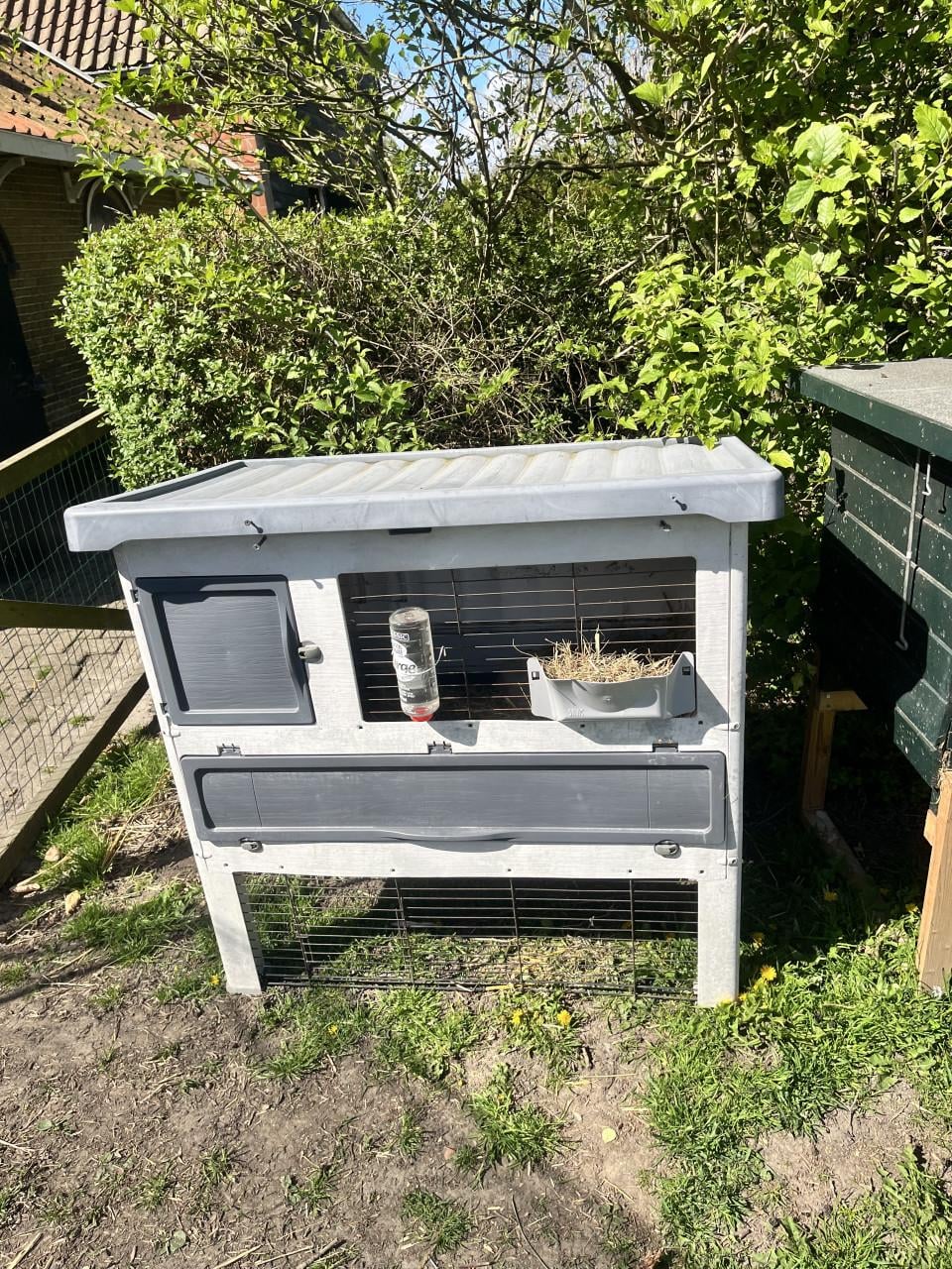 Konijnhok plus konijn