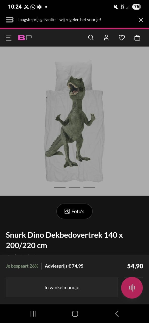Dinosaurus spulletjes kamer