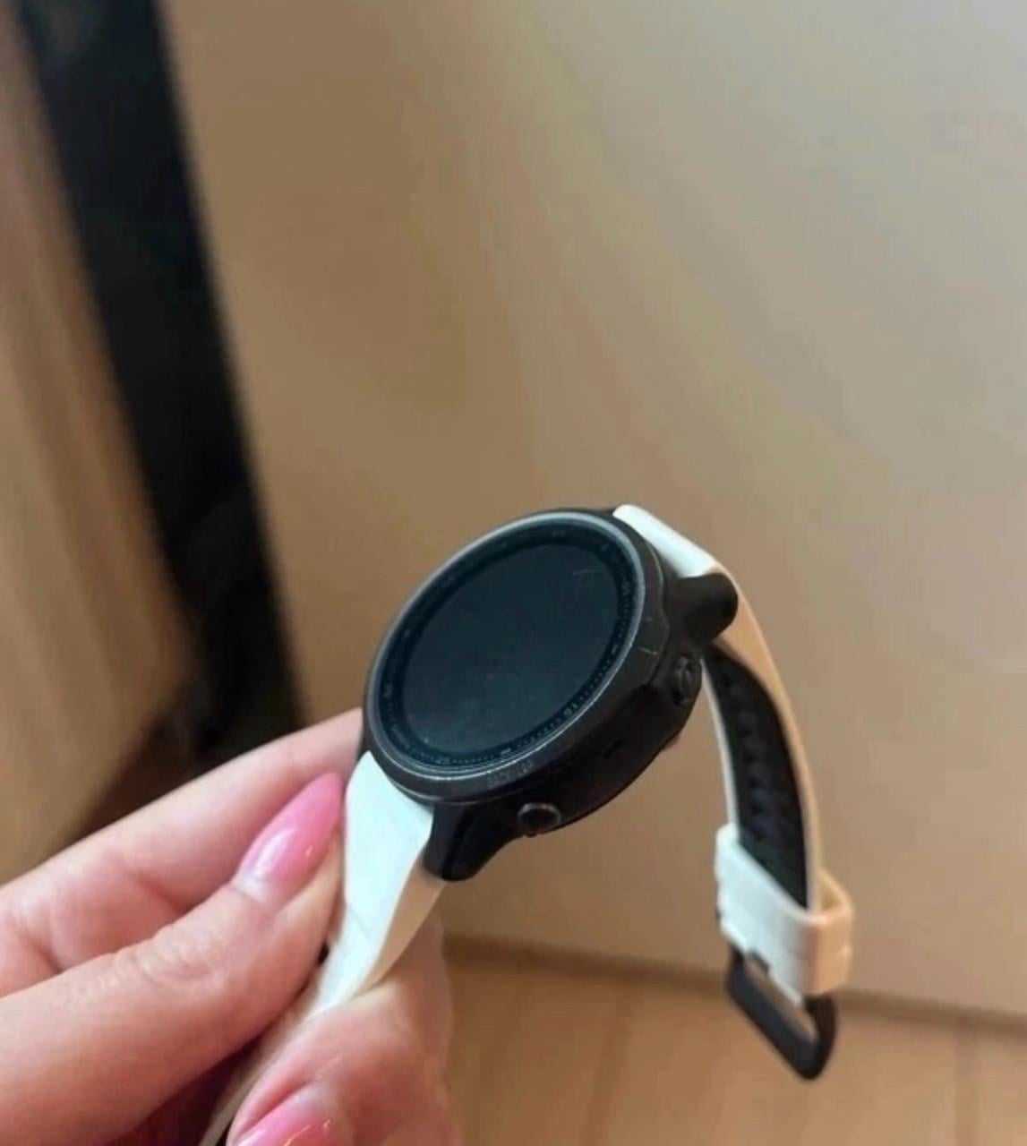 Garmin Fenix 6s Sapphire