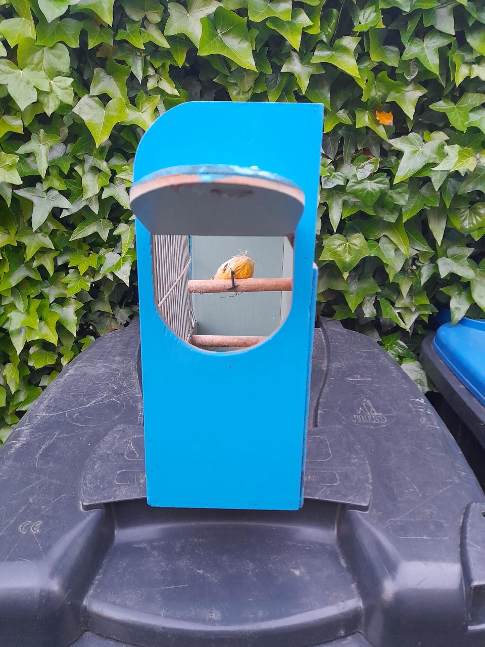 Vogelkooi blauw vintage?