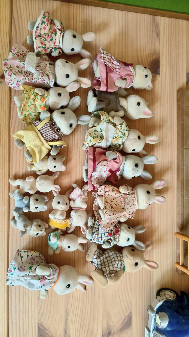 Grote set Sylvanian Families