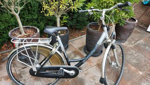 Damesfiets merk Grandeur