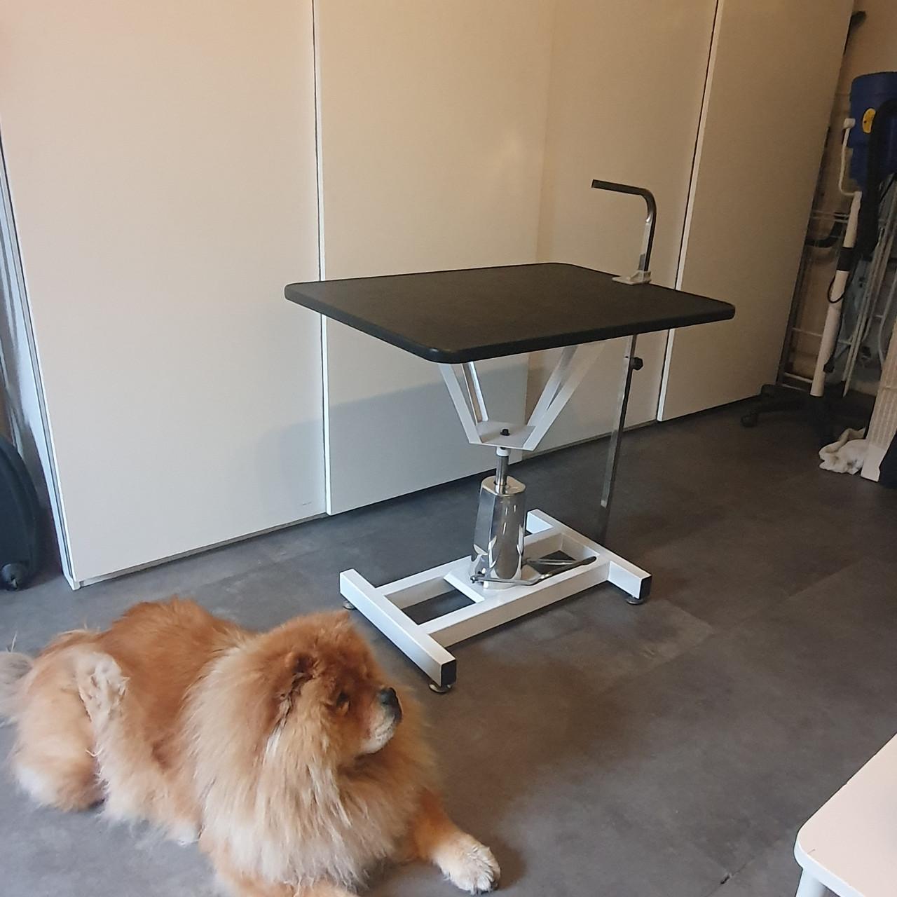 Trimtafel voor de hond