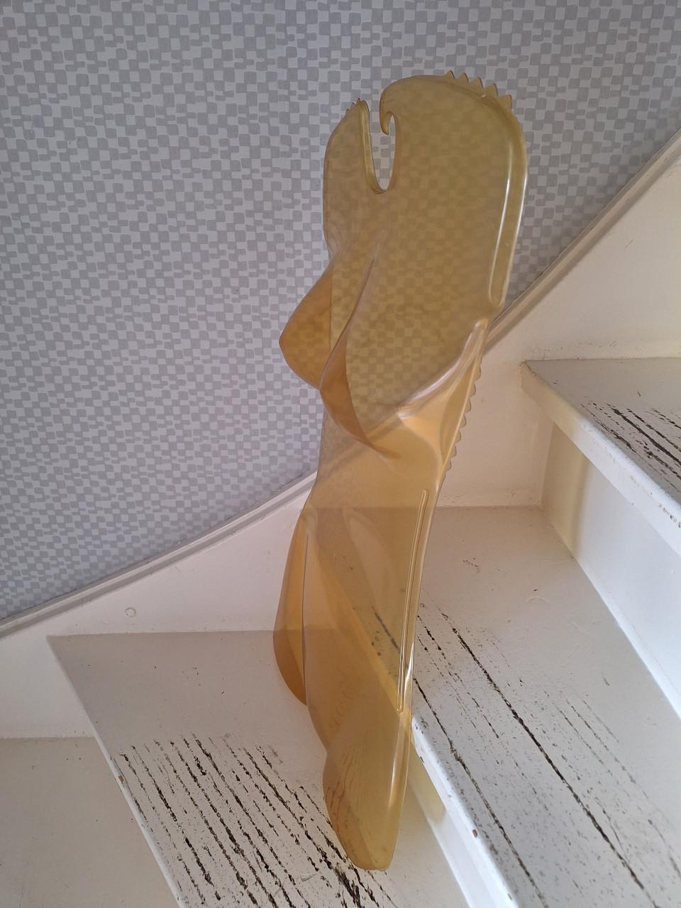 Torso s