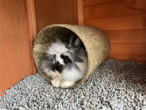 Lief zacht pluizenbolletje